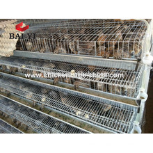 Cages grillagées Cage Cage cages batterie cages